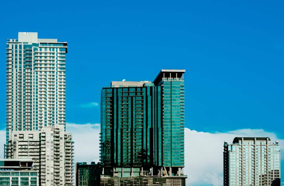 Austin local SEO agency
